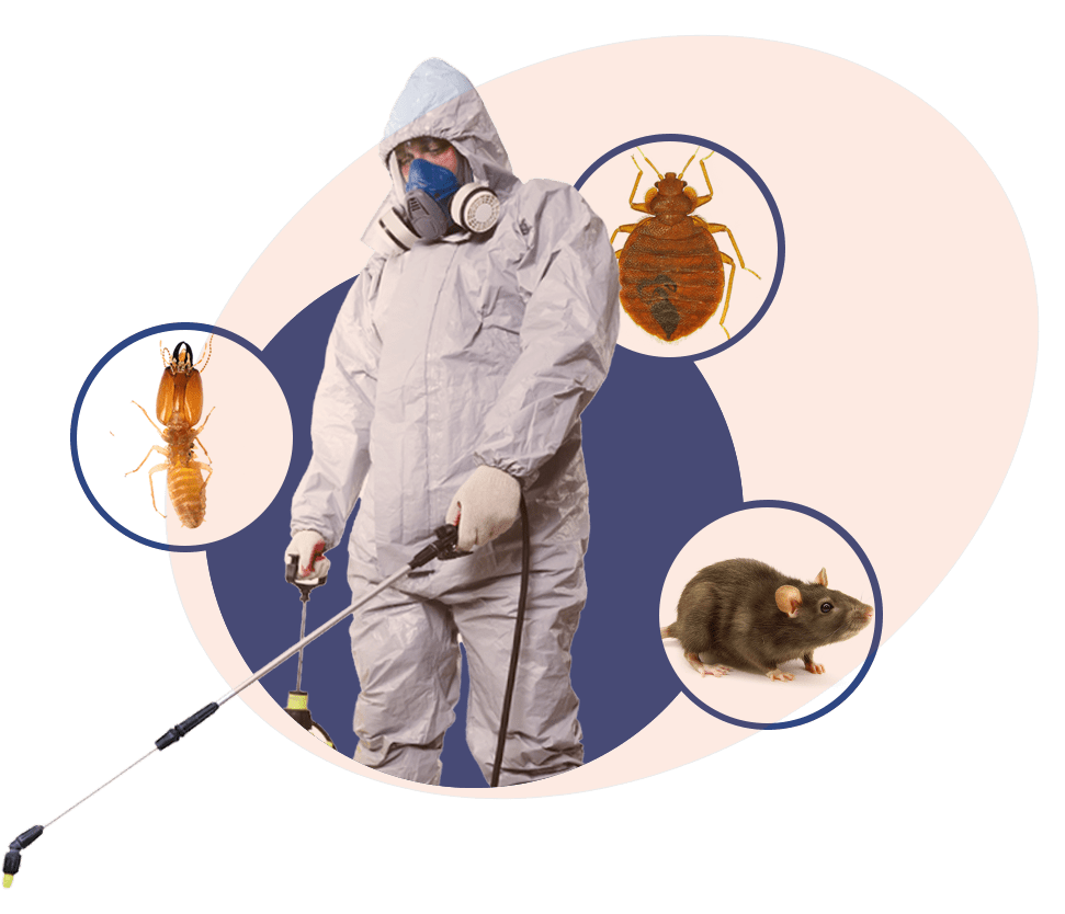 What is the Need For Pest Control?